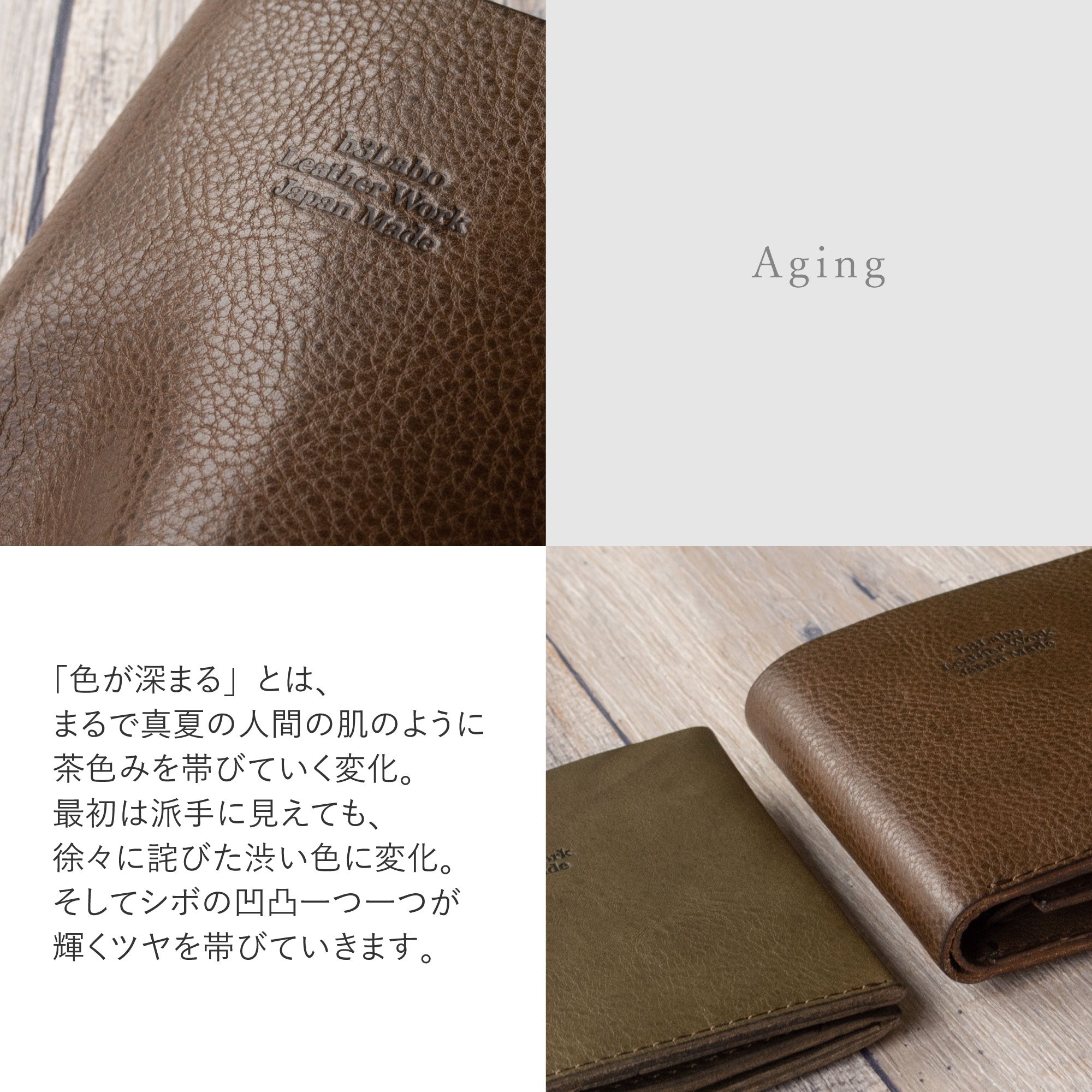 【イタリー / ミネルバボックス】 二つ折り財布 / WP457 WP100